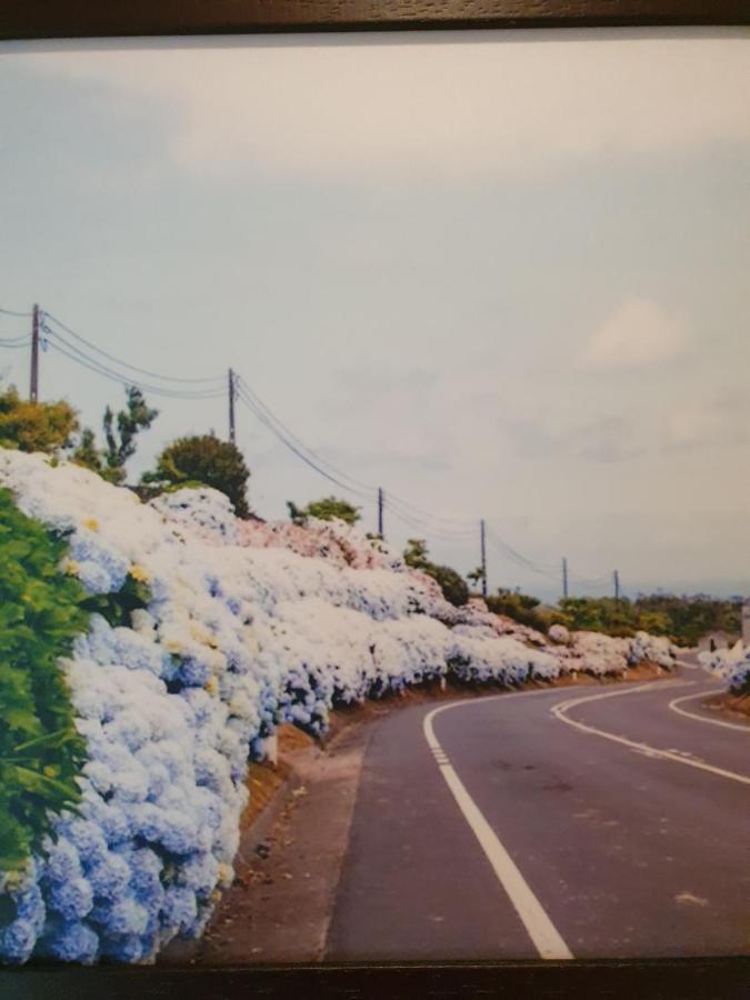T3 Ponta Delgada (Sao Miguel)