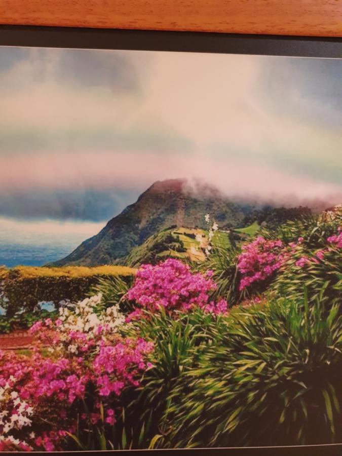 T3 Apartment Ponta Delgada (Sao Miguel)